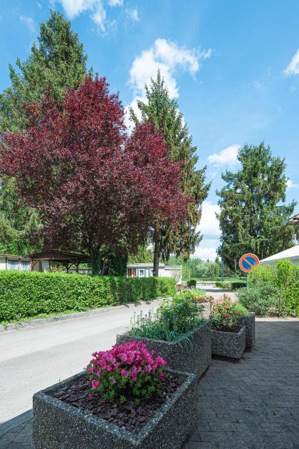 Hotel Camping Au Pays De Hanau Dossenheim-sur-Zinsel Exteriér fotografie