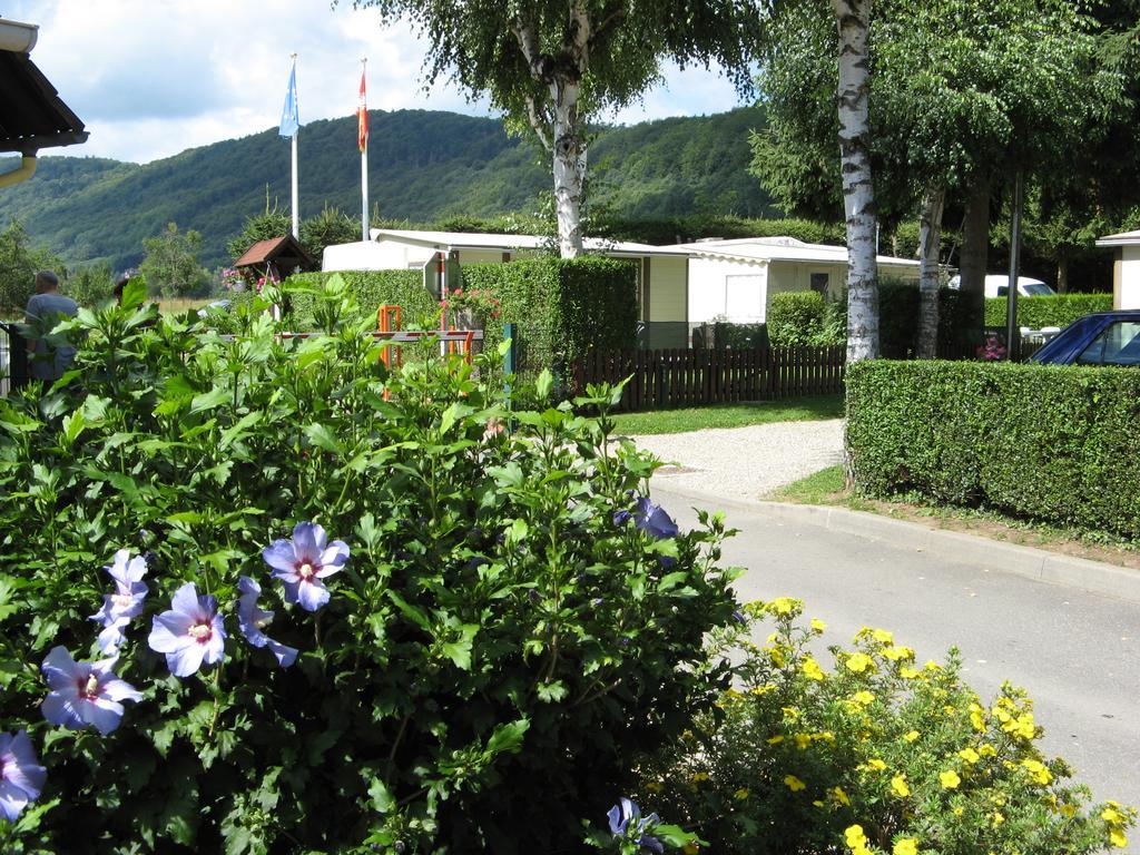 Hotel Camping Au Pays De Hanau Dossenheim-sur-Zinsel Exteriér fotografie